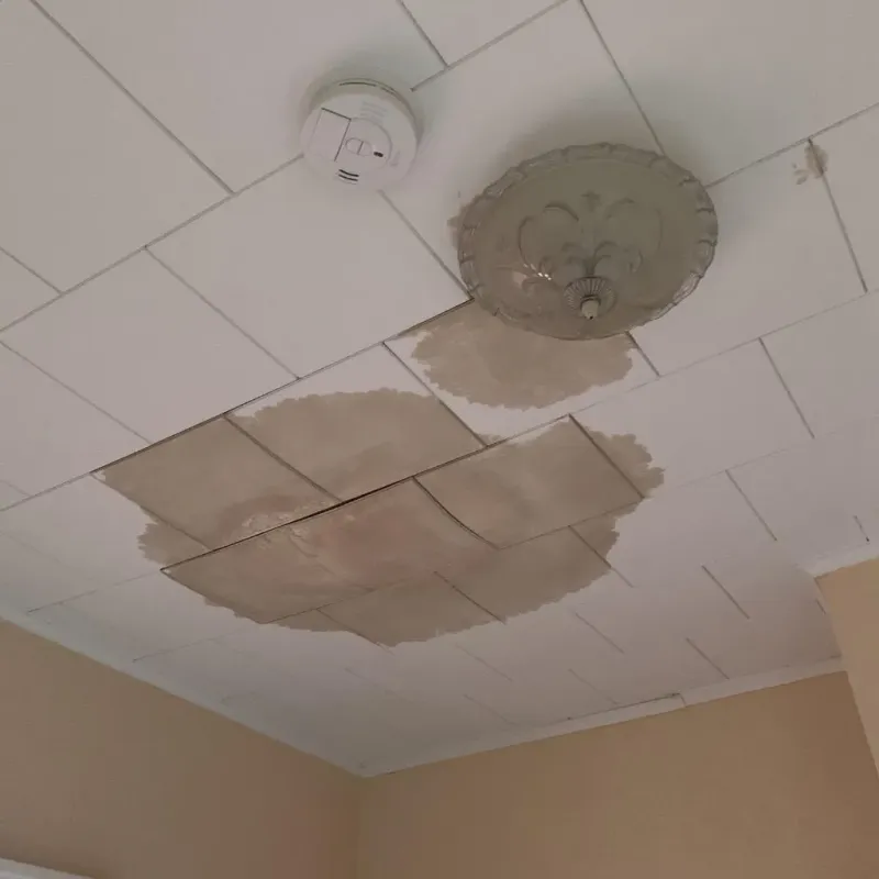 Ceiling Water Damage Repair in Nashville, TN