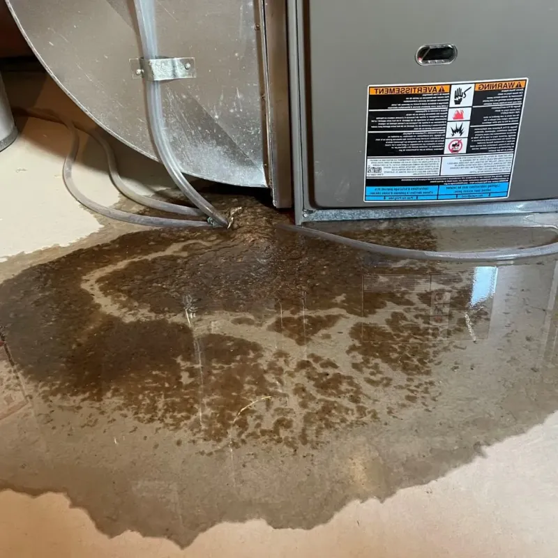 Pipe Burst and Leak Restoration in Nashville, TN