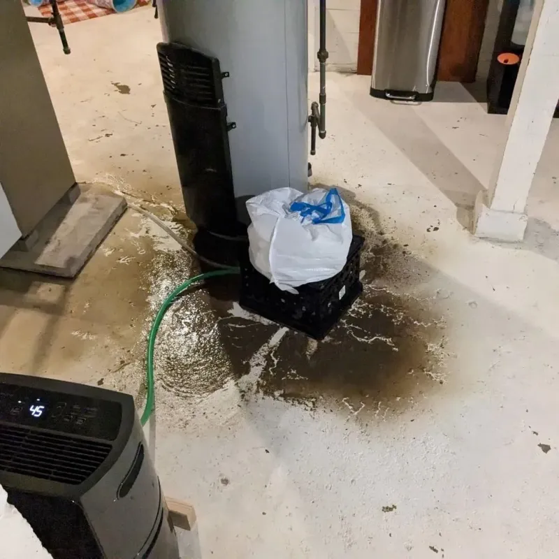 Sewage Backup Cleanup Service in Nashville, TN
